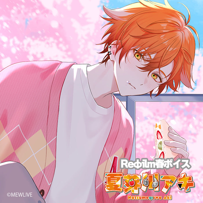 ♛ Believe your Rain 雨夜憧 生誕グッズ ♛ CATEGORY あめちゃん生誕祭2024 | NEEDY GIRL OVERDOSE OFF